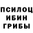 Галлюциногенные грибы Psilocybe jayanta sharma