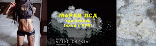 хмурый Лиски