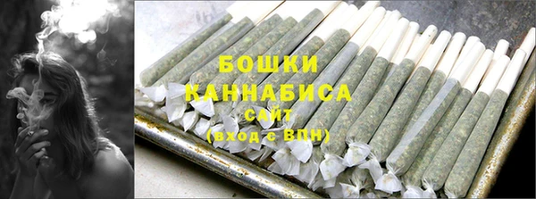 хмурый Лиски