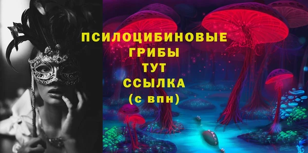 хмурый Лиски