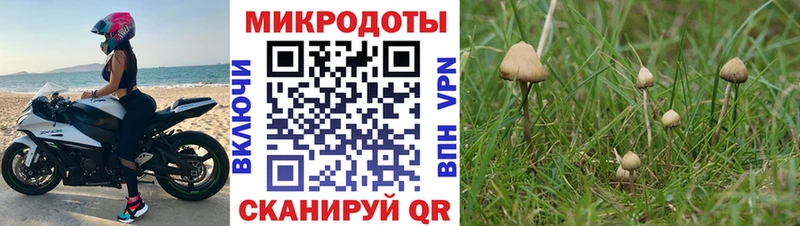 Галлюциногенные грибы MAGIC MUSHROOMS  Купить  Ржев 